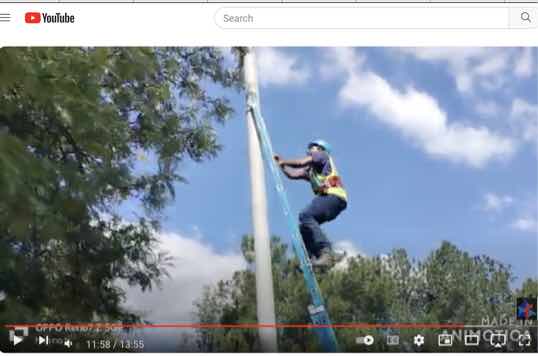 ladder on pole