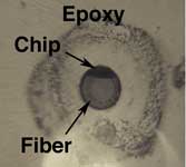 microscope inspection of fiber optic connectors